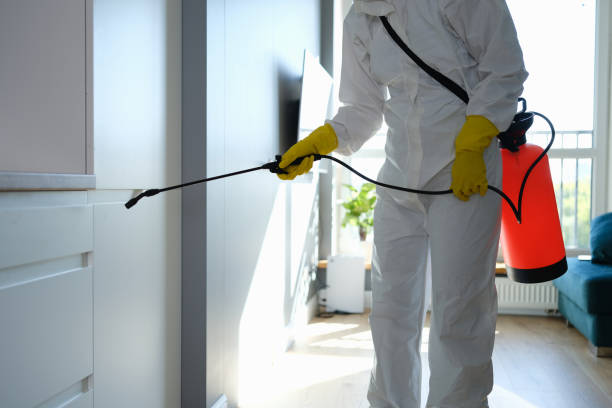 Best Mold Removal Company Near Me  in Shaker Heights, OH