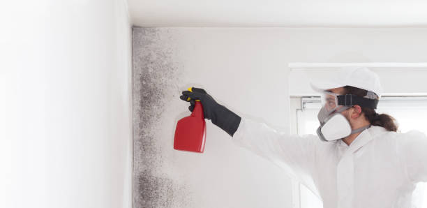 Best Mold Testing  in Shaker Heights, OH